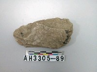 藏品(中型舌刃打製石斧)的圖片